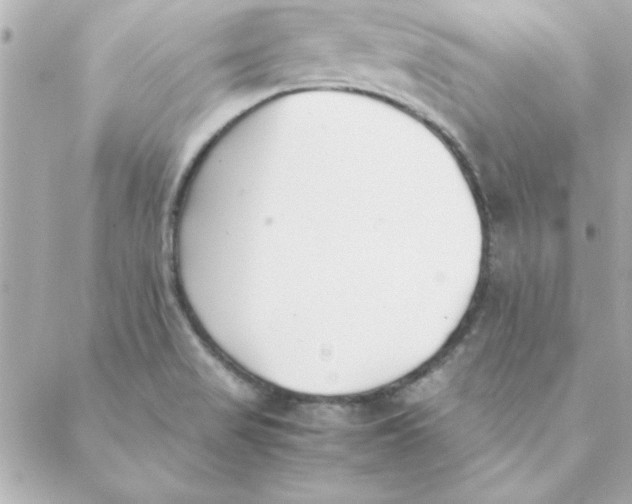 X0000088171517200706051103