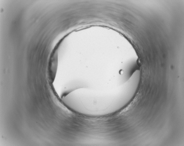 X0000088171518200706051103