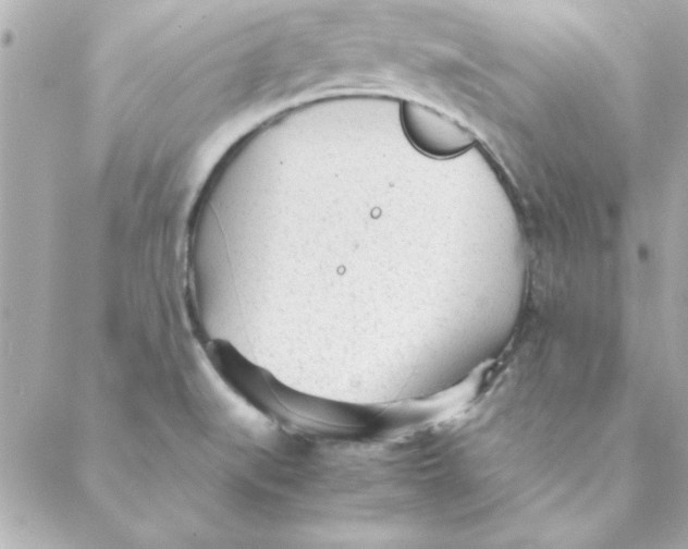 X0000088171519200706051103