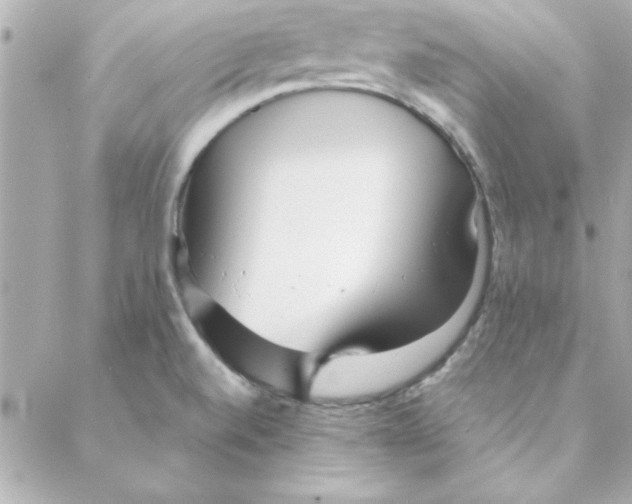 X0000088171520200706051103