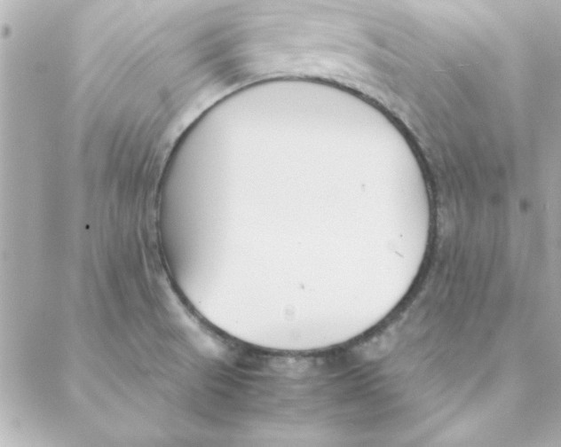 X0000088171521200706051103