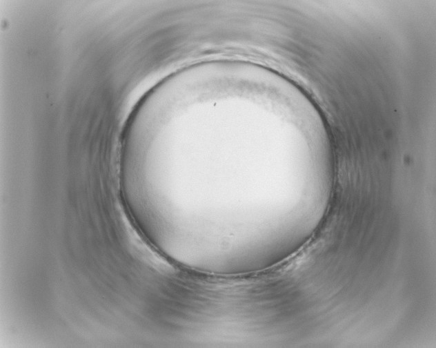 X0000088171522200706051103