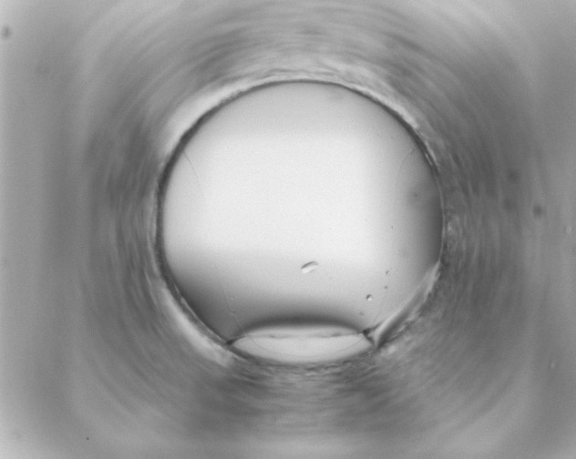 X0000088171523200706051104