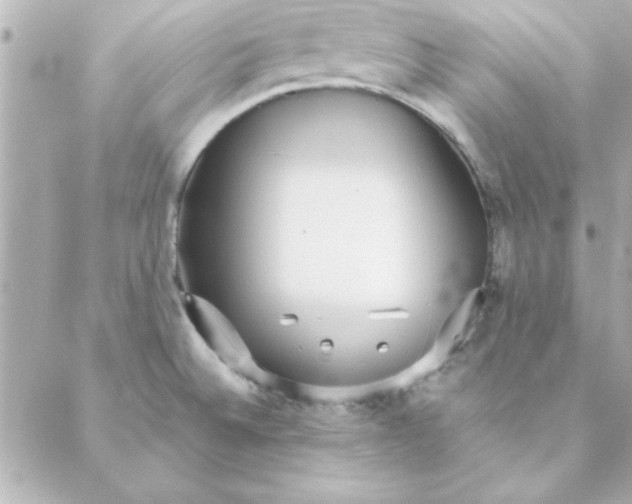 X0000088171524200706051104