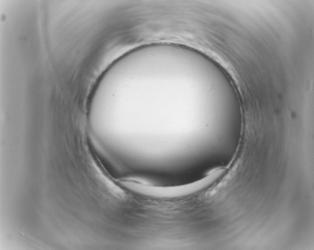 X0000088171525200706051104