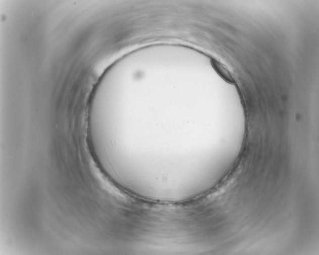 X0000088171526200706051104