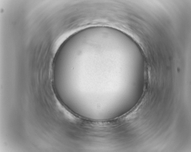 X0000088171527200706051104