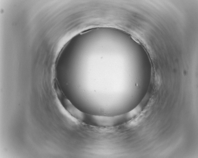 X0000088171528200706051104