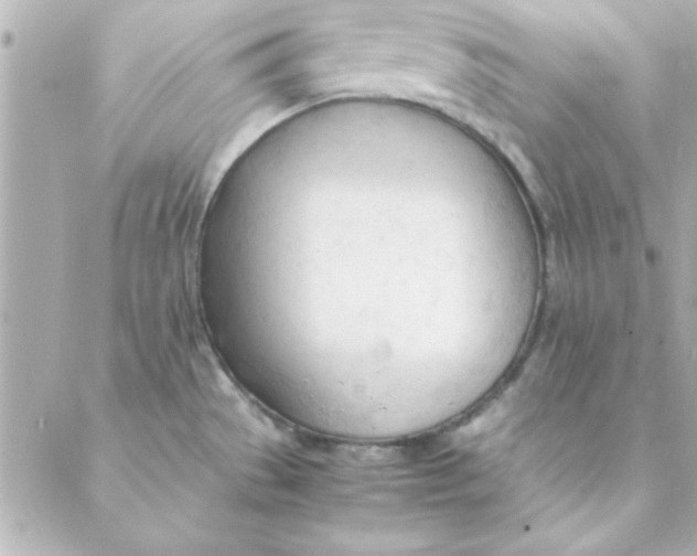 X0000088171529200706051104