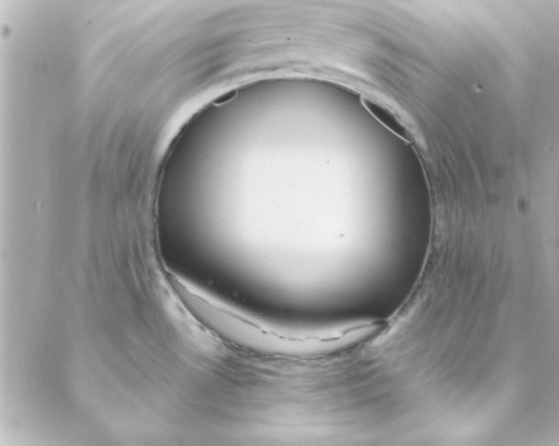 X0000088171530200706051104