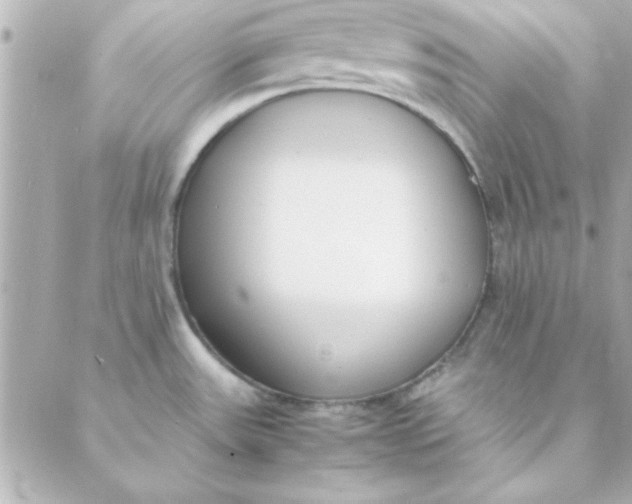 X0000088171531200706051104