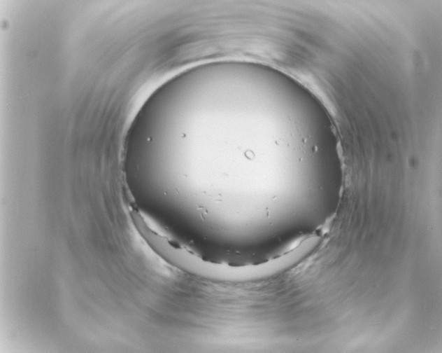 X0000088171532200706051104