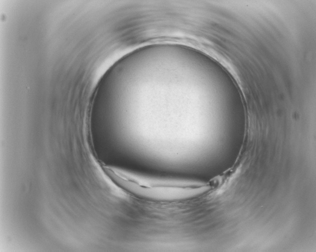 X0000088171533200706051104