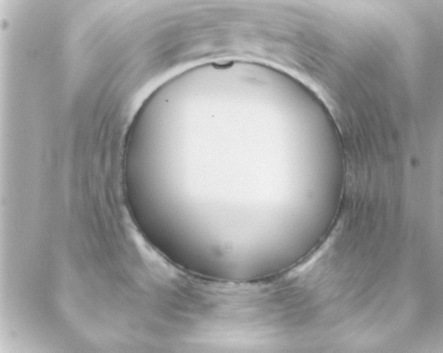 X0000088171534200706051104