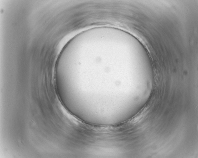 X0000088171535200706051104