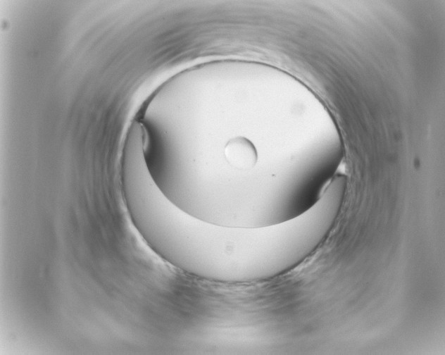 X0000088171536200706051104