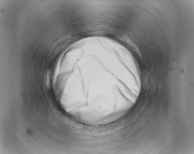 X0000088170026200706121637
