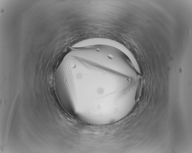 X0000088170033200706121637