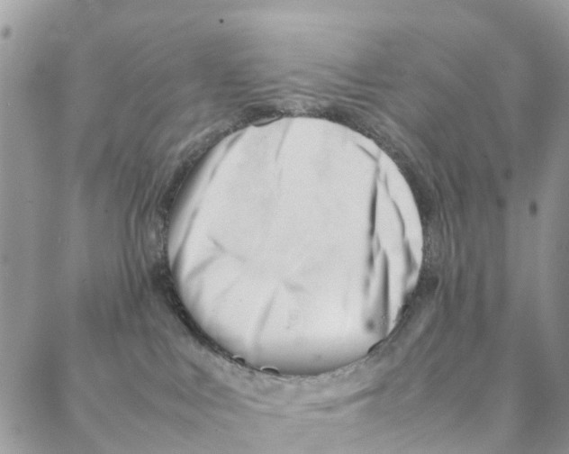X0000088170043200706121637