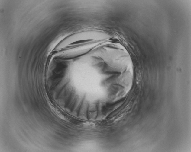 X0000088170052200706121636