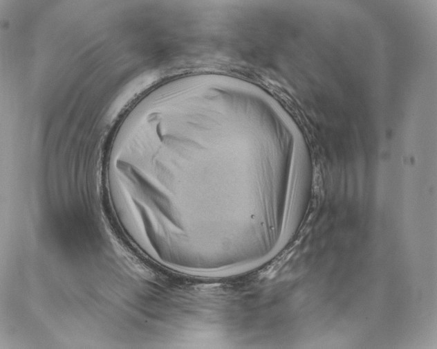 X0000088170054200706121636