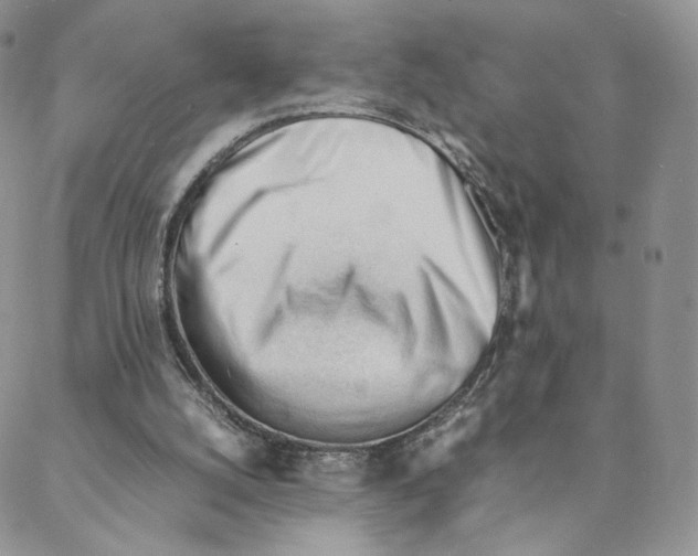X0000088170056200706121636