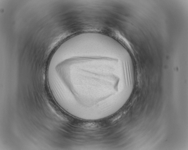 X0000088170059200706121636