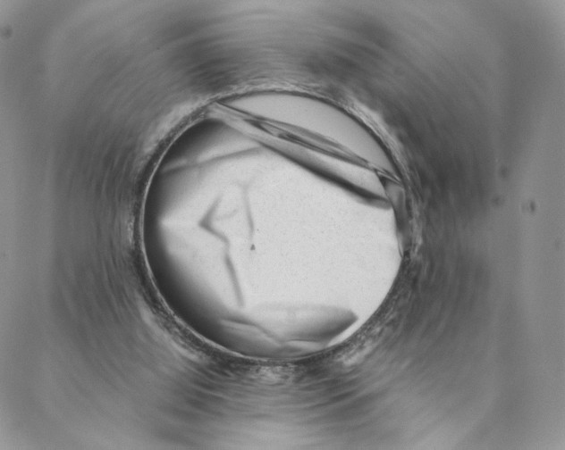 X0000088170060200706121636