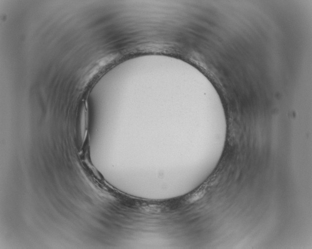 X0000088170062200706121636