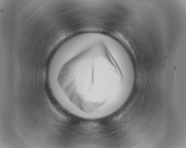 X0000088170063200706121636
