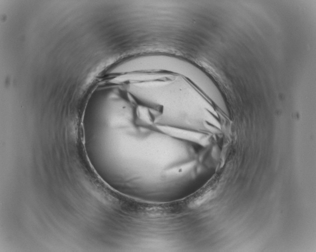 X0000088170064200706121636