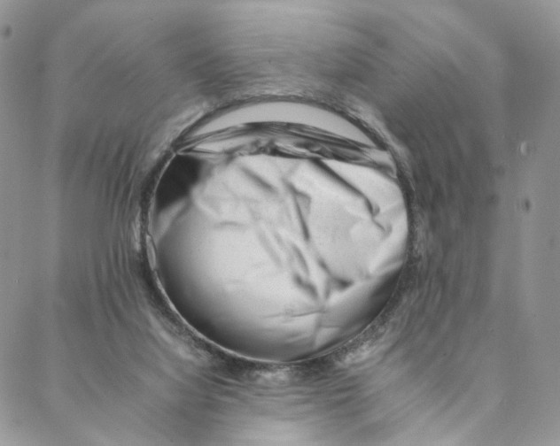 X0000088170068200706121636