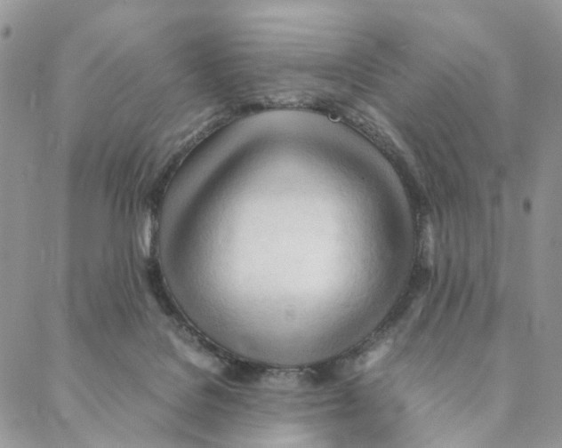 X0000088170076200706121636