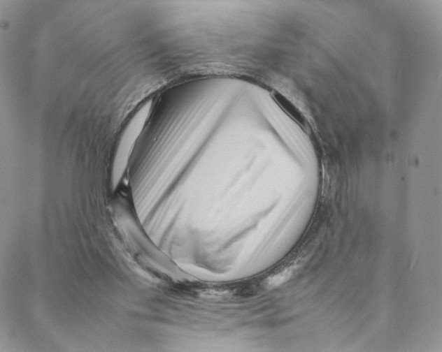 X0000088170109200706121636