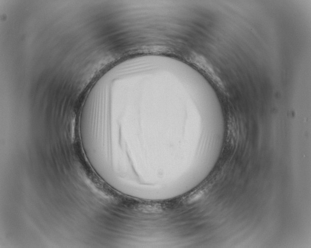 X0000088170110200706121636