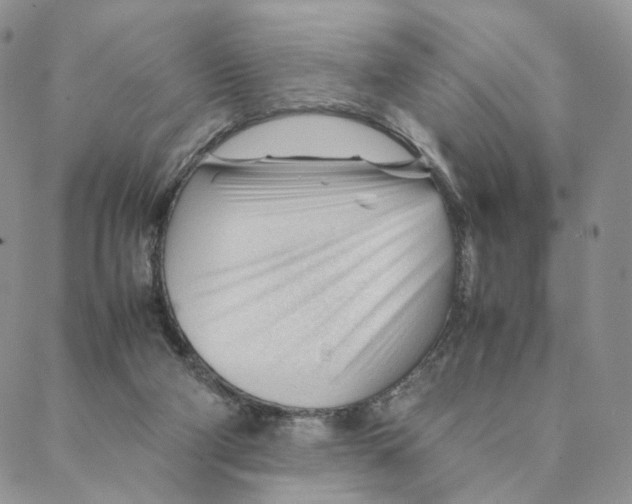 X0000088170114200706121636