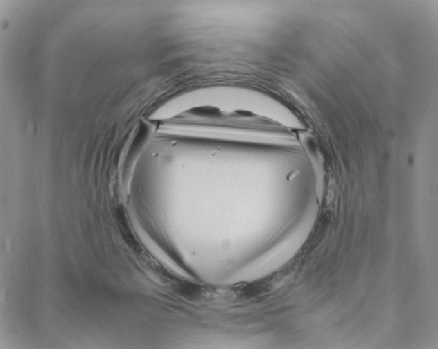 X0000088170125200706121636