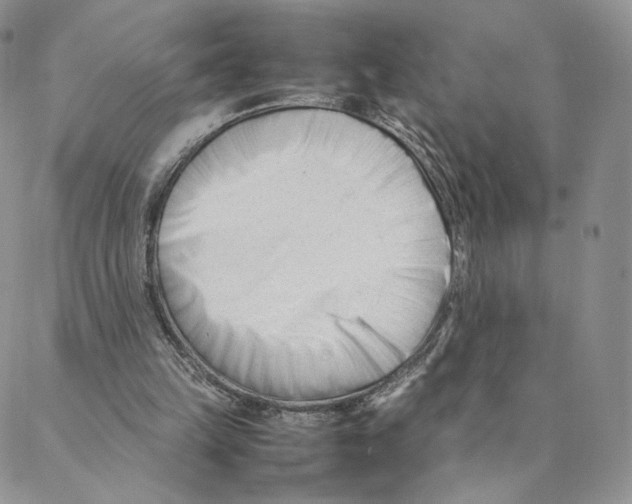 X0000088170149200706121635