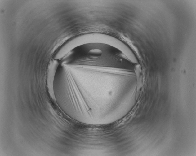X0000088170154200706121635