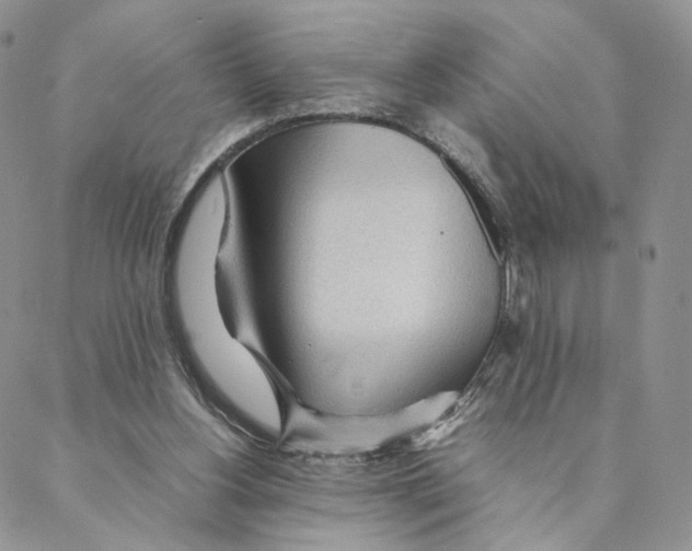 X0000088170156200706121635