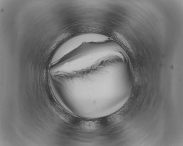 X0000088170163200706121635