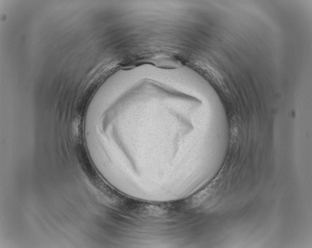 X0000088170166200706121635