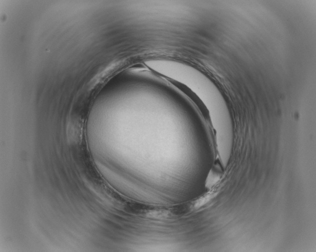 X0000088170168200706121635