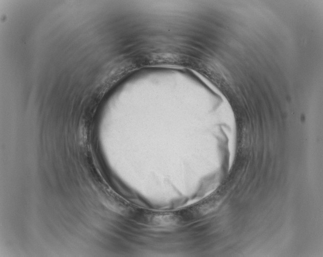 X0000088170173200706121635