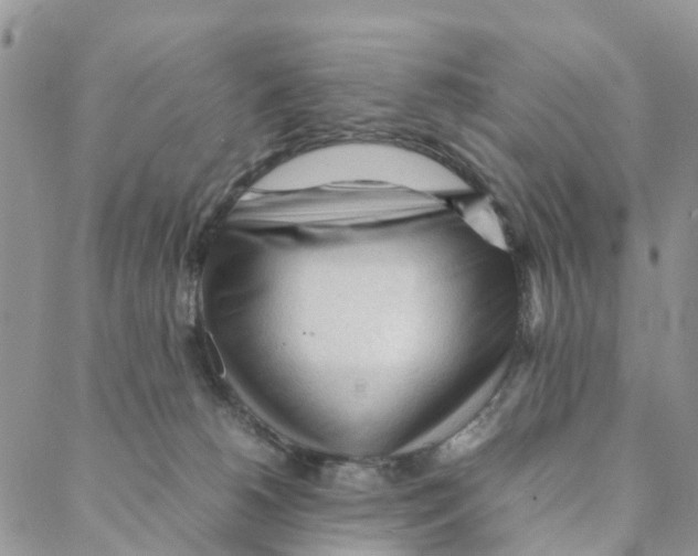 X0000088170180200706121635