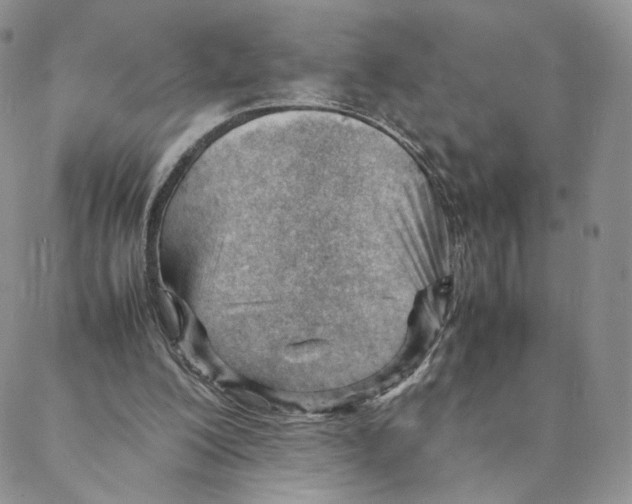 X0000088170200200706121634
