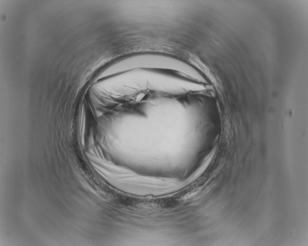 X0000088170203200706121634