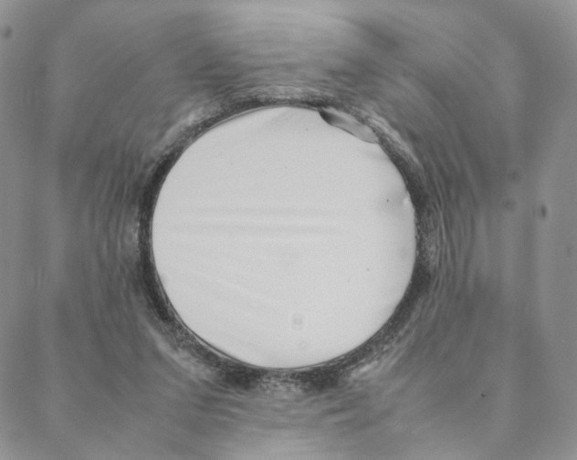 X0000088170207200706121634