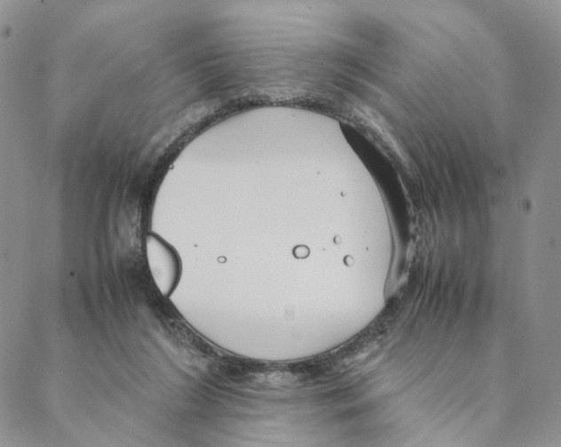 X0000088170212200706121634