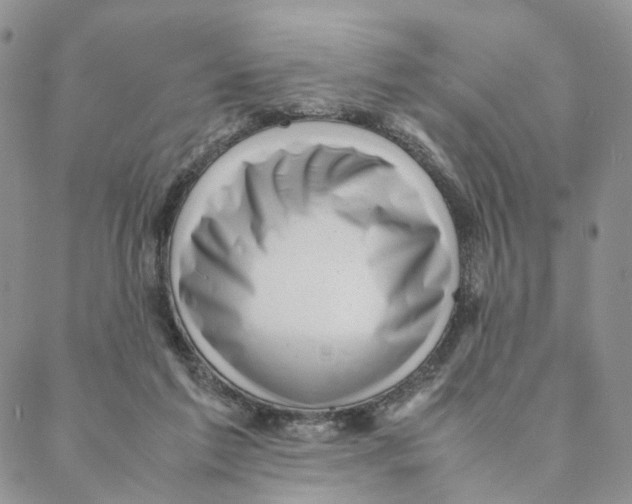 X0000088170213200706121634